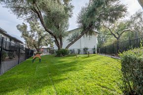Tucson apartment for rent - Pet Park