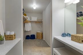 Hurst apartment for rent - Walk In Closet and Vanity