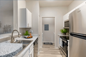 Dallas apartment for rent - A modern kitchen with stainless steel appliances and a granite countertop.