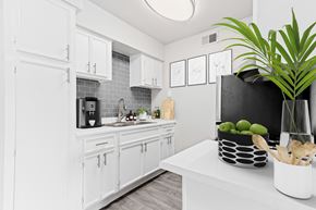 Tucson apartment for rent - a kitchen with white cabinets and a white counter top and a plant