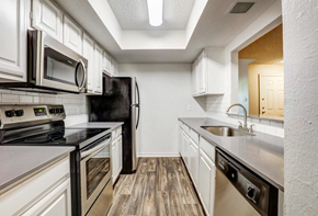 Carrollton apartment for rent - remodeled kitchen