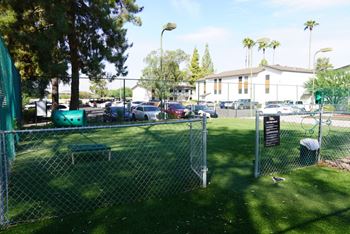 Fenced dog park with obstacle course