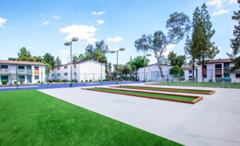 Basketball and sports court