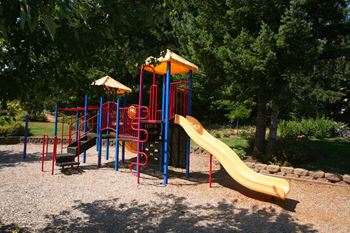 Playground with yellow slide