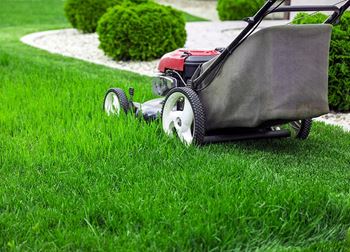 Lawn maintenance