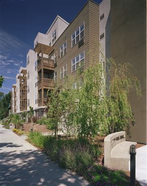 Walnut Creek apartment for rent - a building with a sidewalk and trees in front of it