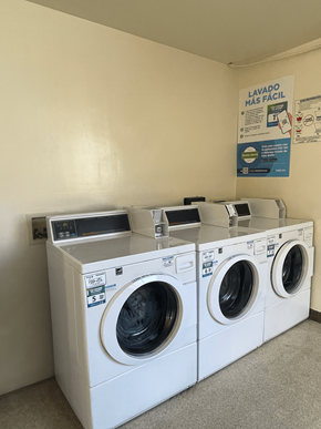 San Rafael apartment for rent - a laundry room with two washes and a dryer