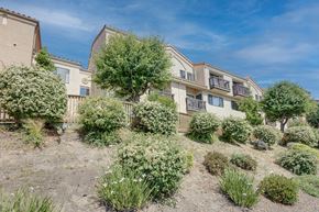 South San Francisco apartment for rent - the backyard of an apartment building with bushes and trees