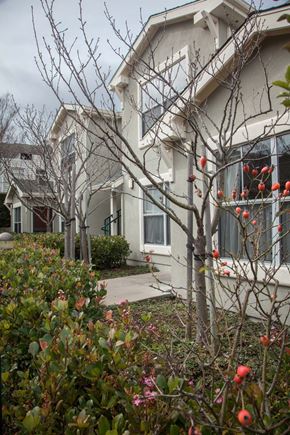 Brisbane apartment for rent - the front of a house with flowering trees and a sidewalk