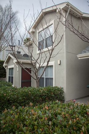 Brisbane apartment for rent - a white house with a tree in front of it