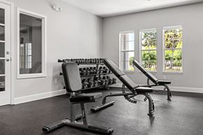 Titusville apartment for rent - A home gym with a row of dumbbells and a bench.