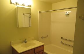 Mount Pocono apartment for rent - A bathroom with a sink, mirror, and shower.