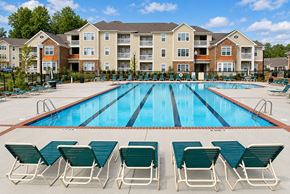 Charlotte apartment for rent - A swimming pool surrounded by lawn chairs in front of apartment buildings.
