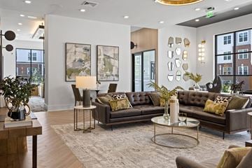 Midlothian apartment for rent - A modern living room with a brown leather sofa and a glass coffee table.