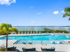 Clearwater apartment for rent - A pool with lounge chairs and a palm tree.