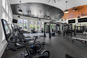 Ponte Vedra apartment for rent - A gym with a variety of exercise equipment including treadmills, stationary bikes, and weight machines.