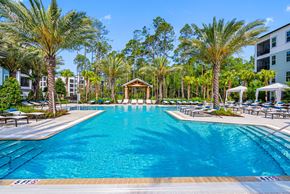 Ponte Vedra apartment for rent - A large swimming pool surrounded by palm trees and lounge chairs.