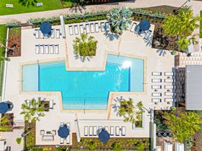 Orlando apartment for rent - An aerial view of a pool surrounded by lounge chairs and plants.