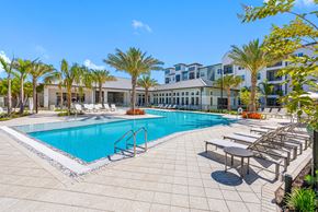 Wesley Chapel apartment for rent - A swimming pool surrounded by palm trees and lounge chairs.