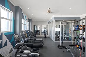 Tampa apartment for rent - a gym with various cardio machines and weights