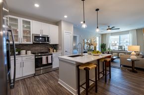 Cary apartment for rent - kitchen