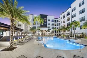 Sarasota apartment for rent - a swimming pool at a hotel with palm trees