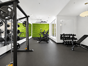 Kannapolis apartment for rent - A gym with a green wall and various exercise equipment.