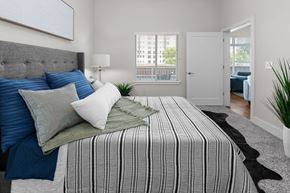 Concord apartment for rent - Bright primary bedroom featuring a plush bed, upholstered headboard, oversized windows, and contemporary finishes at NOVI Concord apartments.