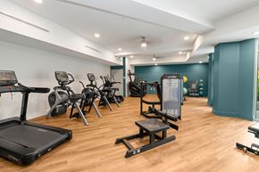 Concord apartment for rent - State-of-the-art fitness center with cardio equipment, free weights, and strength training machines at NOVI Concord apartments.