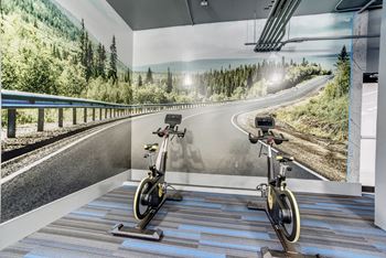 3,800 Square foot, 24-hour fitness center with cardio and free weights (no need for a gym membership!) 