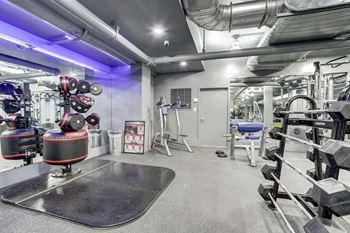 3,800 Square foot, 24-hour fitness center with cardio and free weights (no need for a gym membership!) 