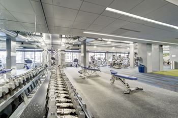 3,800 Square foot, 24-hour fitness center with cardio and free weights (no need for a gym membership!) 