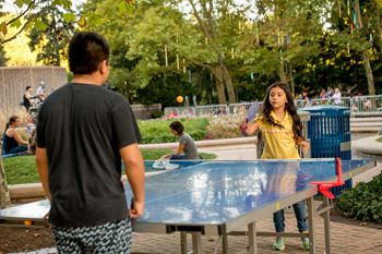 Outdoor ping pong table