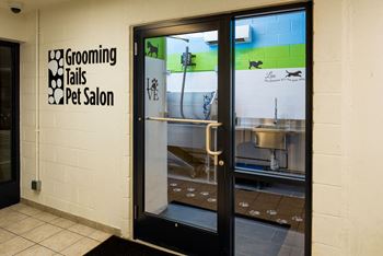 Pet spa & grooming station