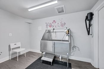 Dog wash station