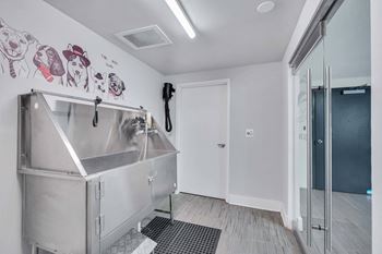 Dog wash station