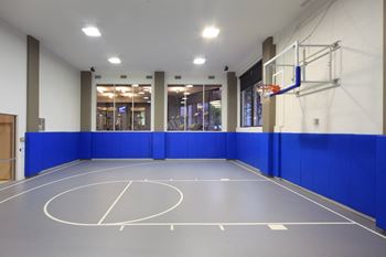 Indoor multi-purpose court