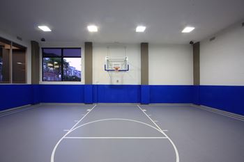 Indoor multi-purpose court