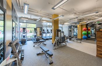Fitness center with the latest cardio- and strength-training gear 