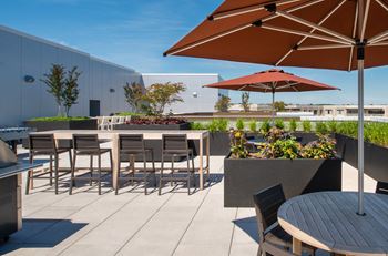 Rooftop pool with patio and cabanas (skydeck) 