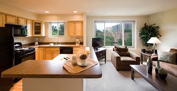 Living room and kitchen