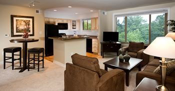 Living room and kitchen