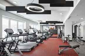 Minnetonka apartment for rent - Fitness center with cardio equipment