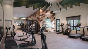 Plymouth apartment for rent - A gym with a variety of equipment including treadmills, weights, and exercise machines.