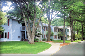 Ludington apartment for rent - the neighborhood is full of large trees in front of the houses