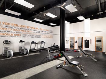Unlimited access to a fully equipped gym with yoga / stretching area