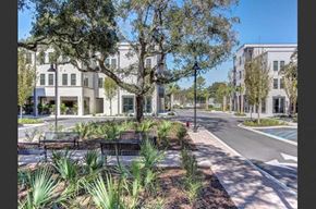 Mount Pleasant apartment for rent - a street with trees and benches in front of buildings
