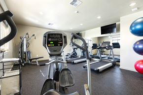 Austin apartment for rent - A gym with a treadmill, elliptical machines, and other exercise equipment.