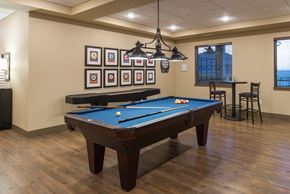Eagan apartment for rent - Billiards