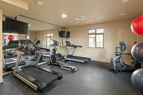 Aurora apartment for rent - A gym with treadmills, exercise balls, and other equipment.